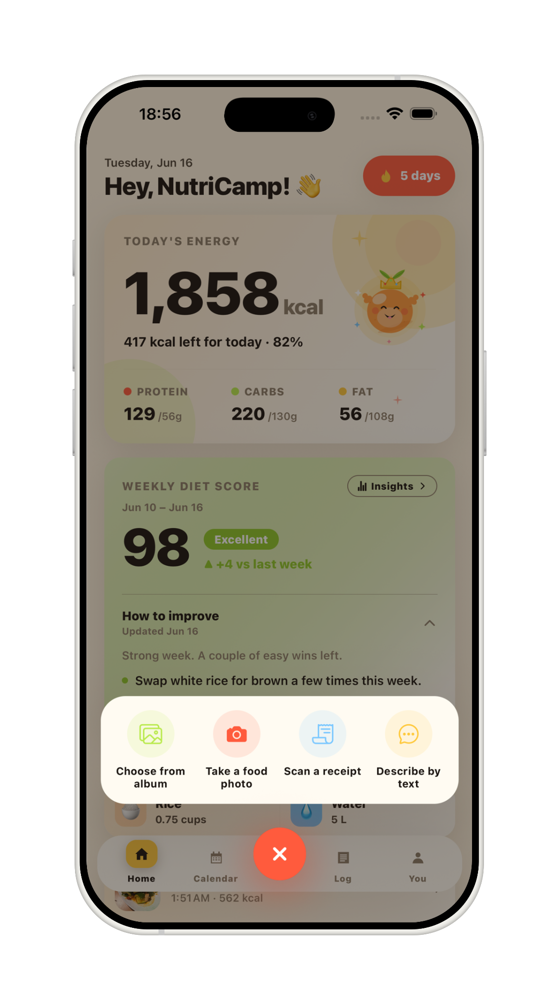 NutriCamp meal logging options